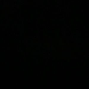 Meet your Posher, Mikey